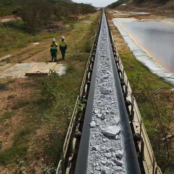 用邁世軌道巡檢機器人，海運碼頭長距離送料巡檢實現無人化